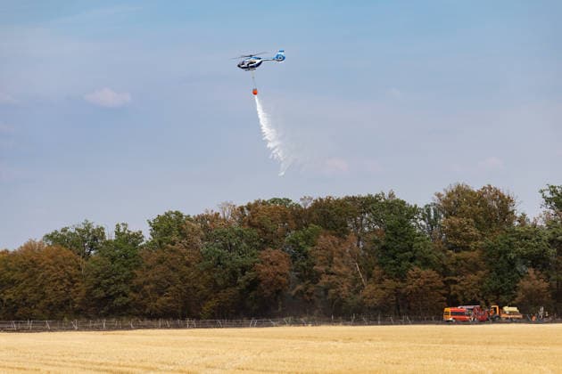 Feuerwehr kämpft bei Buschhoven gegen Flächenbrand am Waldrand Bei Buschhoven (Gemeinde Swisttal) breitet sich ein Flächenbrand aus: Ein zunächst brennendes Feld hat sich durch starken Wind auf angrenzenden Wald ausgeweitet, mehr als 10.000 Quadratmeter sind betroffen. Rund 150 Einsatzkräfte der Feuerwehr aus Swisttal, Alfter, Rheinbach und Weilerswist kämpfen gegen die Flammen, ein Polizeihubschrauber unterstützt die Löscharbeiten aus der Luft. Swisttal Buschhoven Nordrhein-Westfalen Deutschland Copyright: xMarcxJohnx