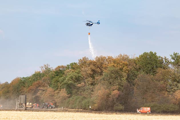 Feuerwehr kämpft bei Buschhoven gegen Flächenbrand am Waldrand Bei Buschhoven (Gemeinde Swisttal) breitet sich ein Flächenbrand aus: Ein zunächst brennendes Feld hat sich durch starken Wind auf angrenzenden Wald ausgeweitet, mehr als 10.000 Quadratmeter sind betroffen. Rund 150 Einsatzkräfte der Feuerwehr aus Swisttal, Alfter, Rheinbach und Weilerswist kämpfen gegen die Flammen, ein Polizeihubschrauber unterstützt die Löscharbeiten aus der Luft. Swisttal Buschhoven Nordrhein-Westfalen Deutschland Copyright: xMarcxJohnx
