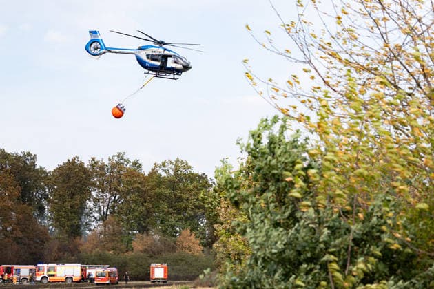 Feuerwehr kämpft bei Buschhoven gegen Flächenbrand am Waldrand Bei Buschhoven (Gemeinde Swisttal) breitet sich ein Flächenbrand aus: Ein zunächst brennendes Feld hat sich durch starken Wind auf angrenzenden Wald ausgeweitet, mehr als 10.000 Quadratmeter sind betroffen. Rund 150 Einsatzkräfte der Feuerwehr aus Swisttal, Alfter, Rheinbach und Weilerswist kämpfen gegen die Flammen, ein Polizeihubschrauber unterstützt die Löscharbeiten aus der Luft. Swisttal Buschhoven Nordrhein-Westfalen Deutschland Copyright: xMarcxJohnx