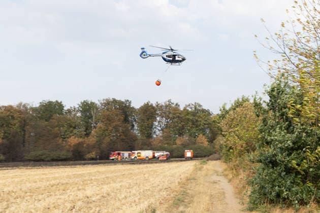 Feuerwehr kämpft bei Buschhoven gegen Flächenbrand am Waldrand Bei Buschhoven (Gemeinde Swisttal) breitet sich ein Flächenbrand aus: Ein zunächst brennendes Feld hat sich durch starken Wind auf angrenzenden Wald ausgeweitet, mehr als 10.000 Quadratmeter sind betroffen. Rund 150 Einsatzkräfte der Feuerwehr aus Swisttal, Alfter, Rheinbach und Weilerswist kämpfen gegen die Flammen, ein Polizeihubschrauber unterstützt die Löscharbeiten aus der Luft. Swisttal Buschhoven Nordrhein-Westfalen Deutschland Copyright: xMarcxJohnx