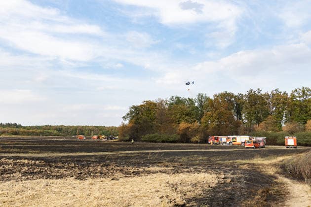 Feuerwehr kämpft bei Buschhoven gegen Flächenbrand am Waldrand Bei Buschhoven (Gemeinde Swisttal) breitet sich ein Flächenbrand aus: Ein zunächst brennendes Feld hat sich durch starken Wind auf angrenzenden Wald ausgeweitet, mehr als 10.000 Quadratmeter sind betroffen. Rund 150 Einsatzkräfte der Feuerwehr aus Swisttal, Alfter, Rheinbach und Weilerswist kämpfen gegen die Flammen, ein Polizeihubschrauber unterstützt die Löscharbeiten aus der Luft. Swisttal Buschhoven Nordrhein-Westfalen Deutschland Copyright: xMarcxJohnx