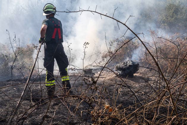 Vier Feuer lodern im Wald Fläche von mehreren Tausend Quadratmetern betroffen Ferienhaussiedlung nur knapp verschont In Rodenbach brennt es seit dem 10.08.2026 an vier Stellen im Wald zwischen den Ortsteilen Ober- und Niederrodenbach. Nach aktuellen Informationen erstreckt sich das Feuer auf einer Fläche von mehreren Tausend Quadratmetern, die Ursache ist zunächst unklar. Das Feuer breitete sich zunächst auch in Richtung einer nahegelegenen Ferienhaussiedlung aus, blieb dieser jedoch dank des Eingreifens der Feuerwehr fern. Die Löscharbeiten dauern nach aktuellen Informationen an, im Einsatz sind umfangreiche Feuerwehrkräfte auch aus dem benachbarten Aschaffenburg. Rodenbach Hessen Deutschland