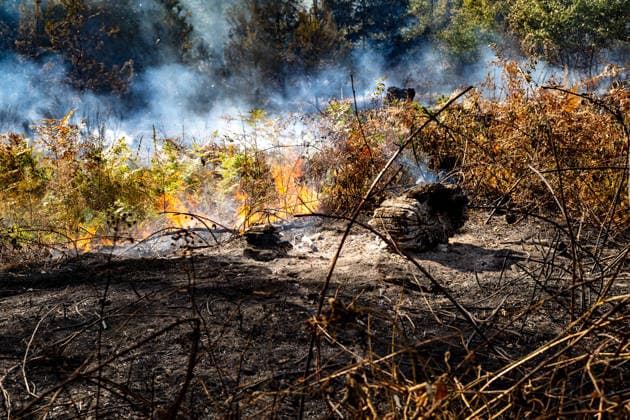 Vier Feuer lodern im Wald Fläche von mehreren Tausend Quadratmetern betroffen Ferienhaussiedlung nur knapp verschont In Rodenbach brennt es seit dem 10.08.2026 an vier Stellen im Wald zwischen den Ortsteilen Ober- und Niederrodenbach. Nach aktuellen Informationen erstreckt sich das Feuer auf einer Fläche von mehreren Tausend Quadratmetern, die Ursache ist zunächst unklar. Das Feuer breitete sich zunächst auch in Richtung einer nahegelegenen Ferienhaussiedlung aus, blieb dieser jedoch dank des Eingreifens der Feuerwehr fern. Die Löscharbeiten dauern nach aktuellen Informationen an, im Einsatz sind umfangreiche Feuerwehrkräfte auch aus dem benachbarten Aschaffenburg. Rodenbach Hessen Deutschland