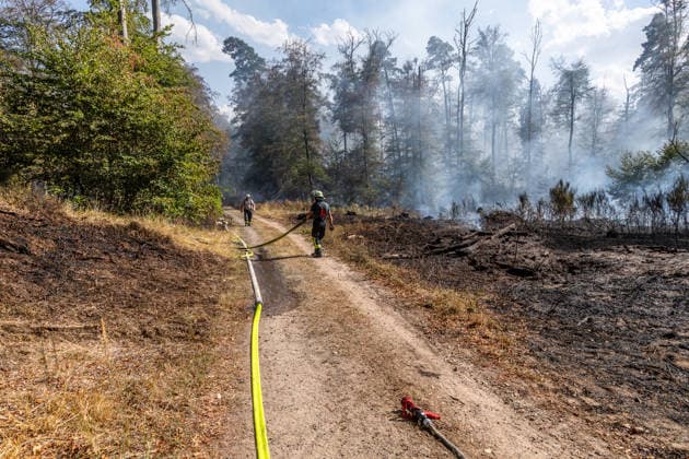 Vier Feuer lodern im Wald Fläche von mehreren Tausend Quadratmetern betroffen Ferienhaussiedlung nur knapp verschont In Rodenbach brennt es seit dem 10.08.2026 an vier Stellen im Wald zwischen den Ortsteilen Ober- und Niederrodenbach. Nach aktuellen Informationen erstreckt sich das Feuer auf einer Fläche von mehreren Tausend Quadratmetern, die Ursache ist zunächst unklar. Das Feuer breitete sich zunächst auch in Richtung einer nahegelegenen Ferienhaussiedlung aus, blieb dieser jedoch dank des Eingreifens der Feuerwehr fern. Die Löscharbeiten dauern nach aktuellen Informationen an, im Einsatz sind umfangreiche Feuerwehrkräfte auch aus dem benachbarten Aschaffenburg. Rodenbach Hessen Deutschland