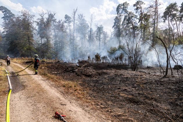Vier Feuer lodern im Wald Fläche von mehreren Tausend Quadratmetern betroffen Ferienhaussiedlung nur knapp verschont In Rodenbach brennt es seit dem 10.08.2026 an vier Stellen im Wald zwischen den Ortsteilen Ober- und Niederrodenbach. Nach aktuellen Informationen erstreckt sich das Feuer auf einer Fläche von mehreren Tausend Quadratmetern, die Ursache ist zunächst unklar. Das Feuer breitete sich zunächst auch in Richtung einer nahegelegenen Ferienhaussiedlung aus, blieb dieser jedoch dank des Eingreifens der Feuerwehr fern. Die Löscharbeiten dauern nach aktuellen Informationen an, im Einsatz sind umfangreiche Feuerwehrkräfte auch aus dem benachbarten Aschaffenburg. Rodenbach Hessen Deutschland