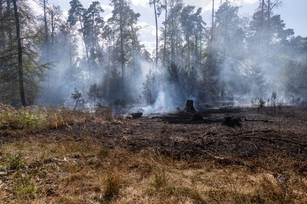 Vier Feuer lodern im Wald Fläche von mehreren Tausend Quadratmetern betroffen Ferienhaussiedlung nur knapp verschont In Rodenbach brennt es seit dem 10.08.2026 an vier Stellen im Wald zwischen den Ortsteilen Ober- und Niederrodenbach. Nach aktuellen Informationen erstreckt sich das Feuer auf einer Fläche von mehreren Tausend Quadratmetern, die Ursache ist zunächst unklar. Das Feuer breitete sich zunächst auch in Richtung einer nahegelegenen Ferienhaussiedlung aus, blieb dieser jedoch dank des Eingreifens der Feuerwehr fern. Die Löscharbeiten dauern nach aktuellen Informationen an, im Einsatz sind umfangreiche Feuerwehrkräfte auch aus dem benachbarten Aschaffenburg. Rodenbach Hessen Deutschland