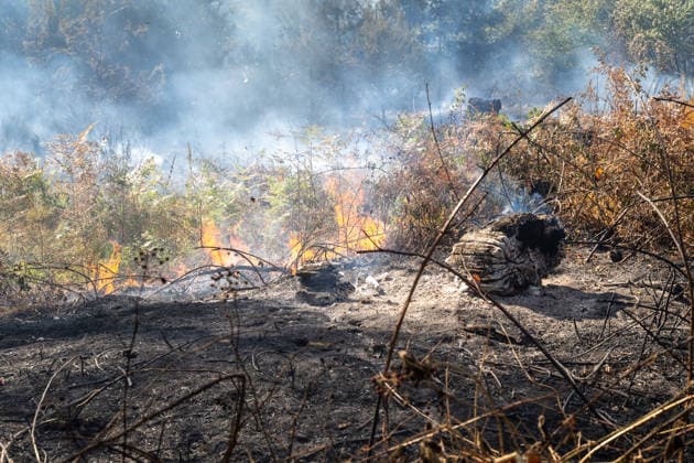 Vier Feuer lodern im Wald Fläche von mehreren Tausend Quadratmetern betroffen Ferienhaussiedlung nur knapp verschont In Rodenbach brennt es seit dem 10.08.2026 an vier Stellen im Wald zwischen den Ortsteilen Ober- und Niederrodenbach. Nach aktuellen Informationen erstreckt sich das Feuer auf einer Fläche von mehreren Tausend Quadratmetern, die Ursache ist zunächst unklar. Das Feuer breitete sich zunächst auch in Richtung einer nahegelegenen Ferienhaussiedlung aus, blieb dieser jedoch dank des Eingreifens der Feuerwehr fern. Die Löscharbeiten dauern nach aktuellen Informationen an, im Einsatz sind umfangreiche Feuerwehrkräfte auch aus dem benachbarten Aschaffenburg. Rodenbach Hessen Deutschland
