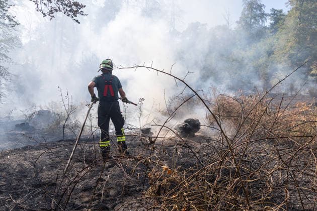 Vier Feuer lodern im Wald Fläche von mehreren Tausend Quadratmetern betroffen Ferienhaussiedlung nur knapp verschont In Rodenbach brennt es seit dem 10.08.2026 an vier Stellen im Wald zwischen den Ortsteilen Ober- und Niederrodenbach. Nach aktuellen Informationen erstreckt sich das Feuer auf einer Fläche von mehreren Tausend Quadratmetern, die Ursache ist zunächst unklar. Das Feuer breitete sich zunächst auch in Richtung einer nahegelegenen Ferienhaussiedlung aus, blieb dieser jedoch dank des Eingreifens der Feuerwehr fern. Die Löscharbeiten dauern nach aktuellen Informationen an, im Einsatz sind umfangreiche Feuerwehrkräfte auch aus dem benachbarten Aschaffenburg. Rodenbach Hessen Deutschland