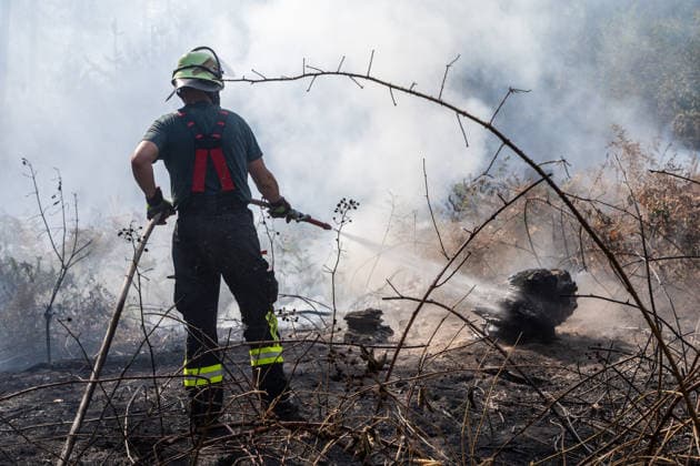 Vier Feuer lodern im Wald Fläche von mehreren Tausend Quadratmetern betroffen Ferienhaussiedlung nur knapp verschont In Rodenbach brennt es seit dem 10.08.2026 an vier Stellen im Wald zwischen den Ortsteilen Ober- und Niederrodenbach. Nach aktuellen Informationen erstreckt sich das Feuer auf einer Fläche von mehreren Tausend Quadratmetern, die Ursache ist zunächst unklar. Das Feuer breitete sich zunächst auch in Richtung einer nahegelegenen Ferienhaussiedlung aus, blieb dieser jedoch dank des Eingreifens der Feuerwehr fern. Die Löscharbeiten dauern nach aktuellen Informationen an, im Einsatz sind umfangreiche Feuerwehrkräfte auch aus dem benachbarten Aschaffenburg. Rodenbach Hessen Deutschland