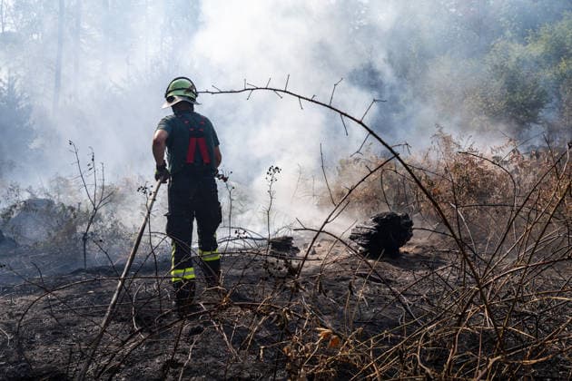 Vier Feuer lodern im Wald Fläche von mehreren Tausend Quadratmetern betroffen Ferienhaussiedlung nur knapp verschont In Rodenbach brennt es seit dem 10.08.2026 an vier Stellen im Wald zwischen den Ortsteilen Ober- und Niederrodenbach. Nach aktuellen Informationen erstreckt sich das Feuer auf einer Fläche von mehreren Tausend Quadratmetern, die Ursache ist zunächst unklar. Das Feuer breitete sich zunächst auch in Richtung einer nahegelegenen Ferienhaussiedlung aus, blieb dieser jedoch dank des Eingreifens der Feuerwehr fern. Die Löscharbeiten dauern nach aktuellen Informationen an, im Einsatz sind umfangreiche Feuerwehrkräfte auch aus dem benachbarten Aschaffenburg. Rodenbach Hessen Deutschland