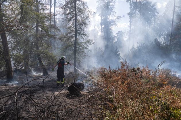 Vier Feuer lodern im Wald Fläche von mehreren Tausend Quadratmetern betroffen Ferienhaussiedlung nur knapp verschont In Rodenbach brennt es seit dem 10.08.2026 an vier Stellen im Wald zwischen den Ortsteilen Ober- und Niederrodenbach. Nach aktuellen Informationen erstreckt sich das Feuer auf einer Fläche von mehreren Tausend Quadratmetern, die Ursache ist zunächst unklar. Das Feuer breitete sich zunächst auch in Richtung einer nahegelegenen Ferienhaussiedlung aus, blieb dieser jedoch dank des Eingreifens der Feuerwehr fern. Die Löscharbeiten dauern nach aktuellen Informationen an, im Einsatz sind umfangreiche Feuerwehrkräfte auch aus dem benachbarten Aschaffenburg. Rodenbach Hessen Deutschland