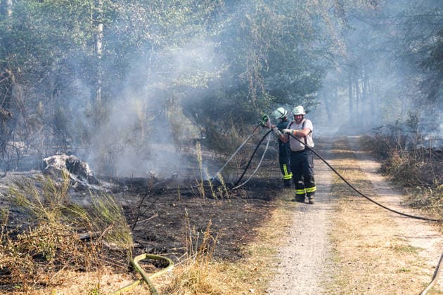 Vier Feuer lodern im Wald Fläche von mehreren Tausend Quadratmetern betroffen Ferienhaussiedlung nur knapp verschont In Rodenbach brennt es seit dem 10.08.2026 an vier Stellen im Wald zwischen den Ortsteilen Ober- und Niederrodenbach. Nach aktuellen Informationen erstreckt sich das Feuer auf einer Fläche von mehreren Tausend Quadratmetern, die Ursache ist zunächst unklar. Das Feuer breitete sich zunächst auch in Richtung einer nahegelegenen Ferienhaussiedlung aus, blieb dieser jedoch dank des Eingreifens der Feuerwehr fern. Die Löscharbeiten dauern nach aktuellen Informationen an, im Einsatz sind umfangreiche Feuerwehrkräfte auch aus dem benachbarten Aschaffenburg. Rodenbach Hessen Deutschland