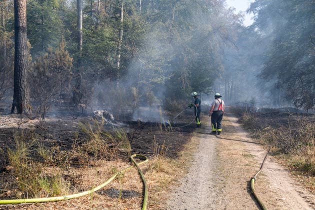 Vier Feuer lodern im Wald Fläche von mehreren Tausend Quadratmetern betroffen Ferienhaussiedlung nur knapp verschont In Rodenbach brennt es seit dem 10.08.2026 an vier Stellen im Wald zwischen den Ortsteilen Ober- und Niederrodenbach. Nach aktuellen Informationen erstreckt sich das Feuer auf einer Fläche von mehreren Tausend Quadratmetern, die Ursache ist zunächst unklar. Das Feuer breitete sich zunächst auch in Richtung einer nahegelegenen Ferienhaussiedlung aus, blieb dieser jedoch dank des Eingreifens der Feuerwehr fern. Die Löscharbeiten dauern nach aktuellen Informationen an, im Einsatz sind umfangreiche Feuerwehrkräfte auch aus dem benachbarten Aschaffenburg. Rodenbach Hessen Deutschland