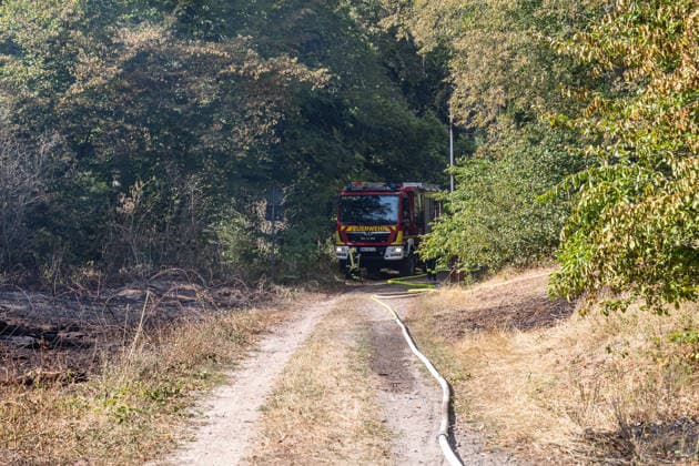 Vier Feuer lodern im Wald Fläche von mehreren Tausend Quadratmetern betroffen Ferienhaussiedlung nur knapp verschont In Rodenbach brennt es seit dem 10.08.2026 an vier Stellen im Wald zwischen den Ortsteilen Ober- und Niederrodenbach. Nach aktuellen Informationen erstreckt sich das Feuer auf einer Fläche von mehreren Tausend Quadratmetern, die Ursache ist zunächst unklar. Das Feuer breitete sich zunächst auch in Richtung einer nahegelegenen Ferienhaussiedlung aus, blieb dieser jedoch dank des Eingreifens der Feuerwehr fern. Die Löscharbeiten dauern nach aktuellen Informationen an, im Einsatz sind umfangreiche Feuerwehrkräfte auch aus dem benachbarten Aschaffenburg. Rodenbach Hessen Deutschland