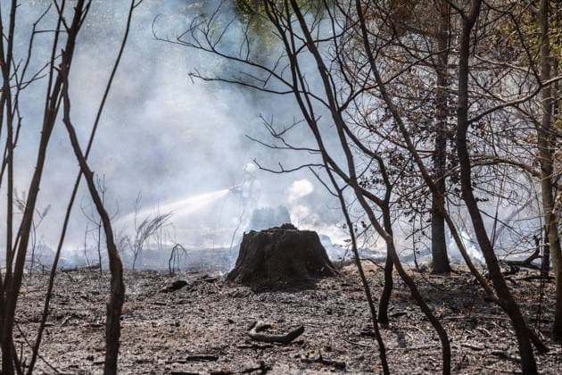 Vier Feuer lodern im Wald Fläche von mehreren Tausend Quadratmetern betroffen Ferienhaussiedlung nur knapp verschont In Rodenbach brennt es seit dem 10.08.2026 an vier Stellen im Wald zwischen den Ortsteilen Ober- und Niederrodenbach. Nach aktuellen Informationen erstreckt sich das Feuer auf einer Fläche von mehreren Tausend Quadratmetern, die Ursache ist zunächst unklar. Das Feuer breitete sich zunächst auch in Richtung einer nahegelegenen Ferienhaussiedlung aus, blieb dieser jedoch dank des Eingreifens der Feuerwehr fern. Die Löscharbeiten dauern nach aktuellen Informationen an, im Einsatz sind umfangreiche Feuerwehrkräfte auch aus dem benachbarten Aschaffenburg. Rodenbach Hessen Deutschland