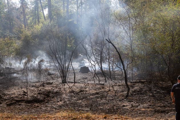 Vier Feuer lodern im Wald Fläche von mehreren Tausend Quadratmetern betroffen Ferienhaussiedlung nur knapp verschont In Rodenbach brennt es seit dem 10.08.2026 an vier Stellen im Wald zwischen den Ortsteilen Ober- und Niederrodenbach. Nach aktuellen Informationen erstreckt sich das Feuer auf einer Fläche von mehreren Tausend Quadratmetern, die Ursache ist zunächst unklar. Das Feuer breitete sich zunächst auch in Richtung einer nahegelegenen Ferienhaussiedlung aus, blieb dieser jedoch dank des Eingreifens der Feuerwehr fern. Die Löscharbeiten dauern nach aktuellen Informationen an, im Einsatz sind umfangreiche Feuerwehrkräfte auch aus dem benachbarten Aschaffenburg. Rodenbach Hessen Deutschland