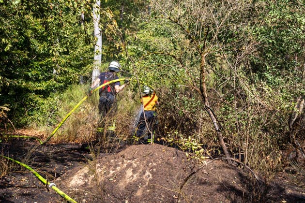 Vier Feuer lodern im Wald Fläche von mehreren Tausend Quadratmetern betroffen Ferienhaussiedlung nur knapp verschont In Rodenbach brennt es seit dem 10.08.2026 an vier Stellen im Wald zwischen den Ortsteilen Ober- und Niederrodenbach. Nach aktuellen Informationen erstreckt sich das Feuer auf einer Fläche von mehreren Tausend Quadratmetern, die Ursache ist zunächst unklar. Das Feuer breitete sich zunächst auch in Richtung einer nahegelegenen Ferienhaussiedlung aus, blieb dieser jedoch dank des Eingreifens der Feuerwehr fern. Die Löscharbeiten dauern nach aktuellen Informationen an, im Einsatz sind umfangreiche Feuerwehrkräfte auch aus dem benachbarten Aschaffenburg. Rodenbach Hessen Deutschland