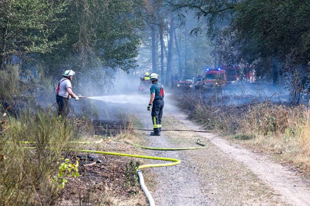 Vier Feuer lodern im Wald Fläche von mehreren Tausend Quadratmetern betroffen Ferienhaussiedlung nur knapp verschont In Rodenbach brennt es seit dem 10.08.2026 an vier Stellen im Wald zwischen den Ortsteilen Ober- und Niederrodenbach. Nach aktuellen Informationen erstreckt sich das Feuer auf einer Fläche von mehreren Tausend Quadratmetern, die Ursache ist zunächst unklar. Das Feuer breitete sich zunächst auch in Richtung einer nahegelegenen Ferienhaussiedlung aus, blieb dieser jedoch dank des Eingreifens der Feuerwehr fern. Die Löscharbeiten dauern nach aktuellen Informationen an, im Einsatz sind umfangreiche Feuerwehrkräfte auch aus dem benachbarten Aschaffenburg. Rodenbach Hessen Deutschland