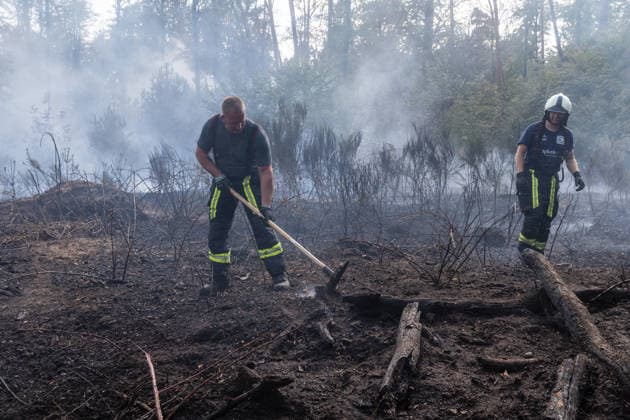 Vier Feuer lodern im Wald Fläche von mehreren Tausend Quadratmetern betroffen Ferienhaussiedlung nur knapp verschont In Rodenbach brennt es seit dem 10.08.2026 an vier Stellen im Wald zwischen den Ortsteilen Ober- und Niederrodenbach. Nach aktuellen Informationen erstreckt sich das Feuer auf einer Fläche von mehreren Tausend Quadratmetern, die Ursache ist zunächst unklar. Das Feuer breitete sich zunächst auch in Richtung einer nahegelegenen Ferienhaussiedlung aus, blieb dieser jedoch dank des Eingreifens der Feuerwehr fern. Die Löscharbeiten dauern nach aktuellen Informationen an, im Einsatz sind umfangreiche Feuerwehrkräfte auch aus dem benachbarten Aschaffenburg. Rodenbach Hessen Deutschland