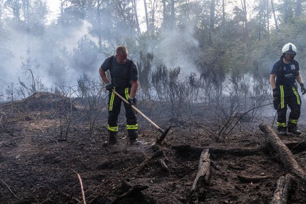 Vier Feuer lodern im Wald Fläche von mehreren Tausend Quadratmetern betroffen Ferienhaussiedlung nur knapp verschont In Rodenbach brennt es seit dem 10.08.2026 an vier Stellen im Wald zwischen den Ortsteilen Ober- und Niederrodenbach. Nach aktuellen Informationen erstreckt sich das Feuer auf einer Fläche von mehreren Tausend Quadratmetern, die Ursache ist zunächst unklar. Das Feuer breitete sich zunächst auch in Richtung einer nahegelegenen Ferienhaussiedlung aus, blieb dieser jedoch dank des Eingreifens der Feuerwehr fern. Die Löscharbeiten dauern nach aktuellen Informationen an, im Einsatz sind umfangreiche Feuerwehrkräfte auch aus dem benachbarten Aschaffenburg. Rodenbach Hessen Deutschland