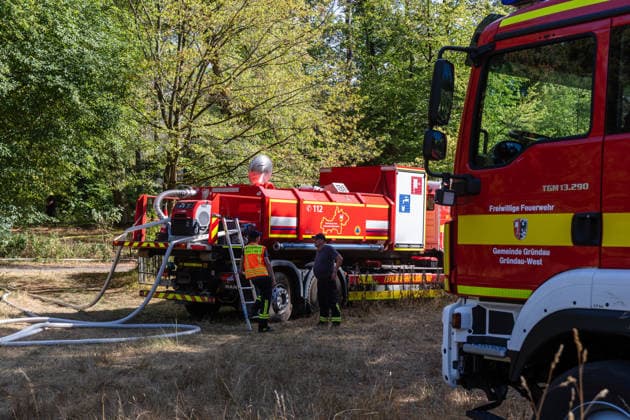 Vier Feuer lodern im Wald Fläche von mehreren Tausend Quadratmetern betroffen Ferienhaussiedlung nur knapp verschont In Rodenbach brennt es seit dem 10.08.2026 an vier Stellen im Wald zwischen den Ortsteilen Ober- und Niederrodenbach. Nach aktuellen Informationen erstreckt sich das Feuer auf einer Fläche von mehreren Tausend Quadratmetern, die Ursache ist zunächst unklar. Das Feuer breitete sich zunächst auch in Richtung einer nahegelegenen Ferienhaussiedlung aus, blieb dieser jedoch dank des Eingreifens der Feuerwehr fern. Die Löscharbeiten dauern nach aktuellen Informationen an, im Einsatz sind umfangreiche Feuerwehrkräfte auch aus dem benachbarten Aschaffenburg. Rodenbach Hessen Deutschland