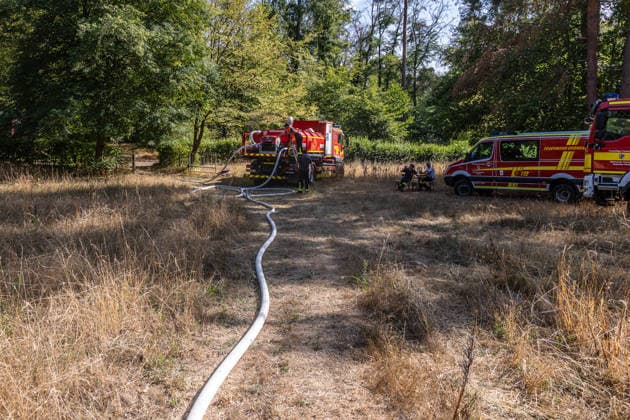 Vier Feuer lodern im Wald Fläche von mehreren Tausend Quadratmetern betroffen Ferienhaussiedlung nur knapp verschont In Rodenbach brennt es seit dem 10.08.2026 an vier Stellen im Wald zwischen den Ortsteilen Ober- und Niederrodenbach. Nach aktuellen Informationen erstreckt sich das Feuer auf einer Fläche von mehreren Tausend Quadratmetern, die Ursache ist zunächst unklar. Das Feuer breitete sich zunächst auch in Richtung einer nahegelegenen Ferienhaussiedlung aus, blieb dieser jedoch dank des Eingreifens der Feuerwehr fern. Die Löscharbeiten dauern nach aktuellen Informationen an, im Einsatz sind umfangreiche Feuerwehrkräfte auch aus dem benachbarten Aschaffenburg. Rodenbach Hessen Deutschland