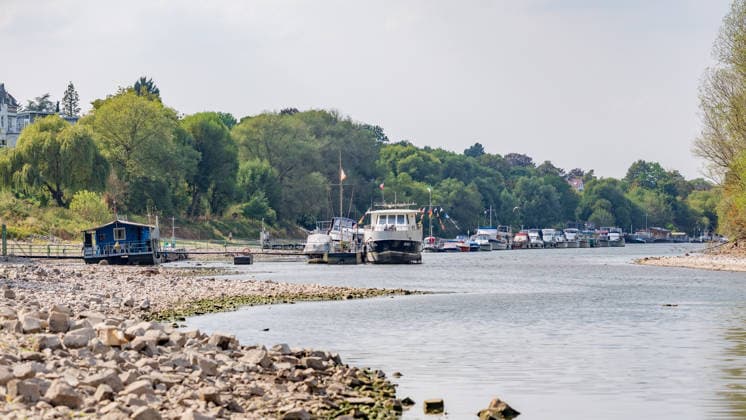 Niedrigwasser am Rhein: Boote und Stege bei Bornheim-Hersel auf Grund Niedrigwasser am Rhein: Bei einem Pegelstand von 74 cm am Pegel Bonn liegt der Rheinarm zwischen Bornheim-Hersel und dem Naturschutzgebiet Herseler Werth größtenteils trocken. Boote und Stege liegen auf dem ausgetrockneten Flussbett auf Grund. Am Rhein werden derzeit historische Tiefstwerte gemessen. Bornheim Hersel Nordrhein-Westfalen Deutschland Copyright: xMarcxJohnx