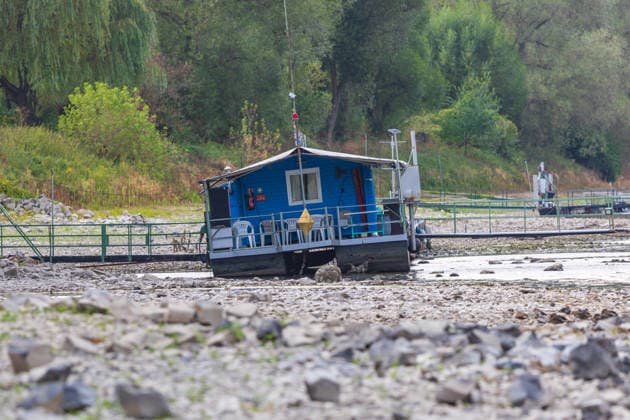 News Bilder des Tages #2 Niedrigwasser am Rhein: Boote und Stege bei Bornheim-Hersel auf Grund Niedrigwasser am Rhein: Bei einem Pegelstand von 74 cm am Pegel Bonn liegt der Rheinarm zwischen Bornheim-Hersel und dem Naturschutzgebiet Herseler Werth größtenteils trocken. Boote und Stege liegen auf dem ausgetrockneten Flussbett auf Grund. Am Rhein werden derzeit historische Tiefstwerte gemessen. Bornheim Hersel Nordrhein-Westfalen Deutschland Copyright: xMarcxJohnx
