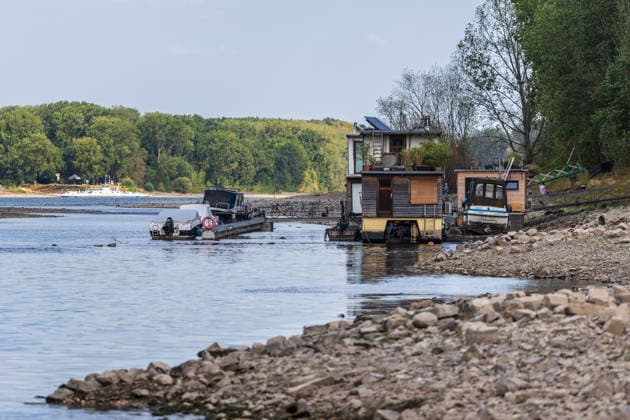 Niedrigwasser am Rhein: Boote und Stege bei Bornheim-Hersel auf Grund Niedrigwasser am Rhein: Bei einem Pegelstand von 74 cm am Pegel Bonn liegt der Rheinarm zwischen Bornheim-Hersel und dem Naturschutzgebiet Herseler Werth größtenteils trocken. Boote und Stege liegen auf dem ausgetrockneten Flussbett auf Grund. Am Rhein werden derzeit historische Tiefstwerte gemessen. Bornheim Hersel Nordrhein-Westfalen Deutschland Copyright: xMarcxJohnx