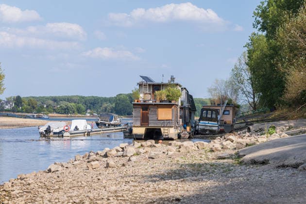 Niedrigwasser am Rhein: Boote und Stege bei Bornheim-Hersel auf Grund Niedrigwasser am Rhein: Bei einem Pegelstand von 74 cm am Pegel Bonn liegt der Rheinarm zwischen Bornheim-Hersel und dem Naturschutzgebiet Herseler Werth größtenteils trocken. Boote und Stege liegen auf dem ausgetrockneten Flussbett auf Grund. Am Rhein werden derzeit historische Tiefstwerte gemessen. Bornheim Hersel Nordrhein-Westfalen Deutschland Copyright: xMarcxJohnx