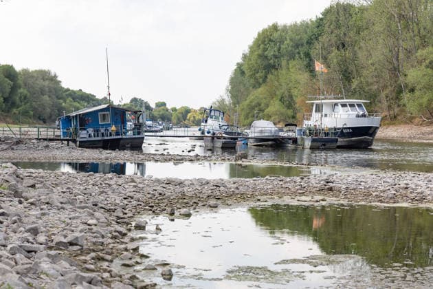 Niedrigwasser am Rhein: Boote und Stege bei Bornheim-Hersel auf Grund Niedrigwasser am Rhein: Bei einem Pegelstand von 74 cm am Pegel Bonn liegt der Rheinarm zwischen Bornheim-Hersel und dem Naturschutzgebiet Herseler Werth größtenteils trocken. Boote und Stege liegen auf dem ausgetrockneten Flussbett auf Grund. Am Rhein werden derzeit historische Tiefstwerte gemessen. Bornheim Hersel Nordrhein-Westfalen Deutschland Copyright: xMarcxJohnx