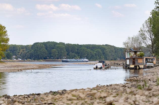 Niedrigwasser am Rhein: Boote und Stege bei Bornheim-Hersel auf Grund Niedrigwasser am Rhein: Bei einem Pegelstand von 74 cm am Pegel Bonn liegt der Rheinarm zwischen Bornheim-Hersel und dem Naturschutzgebiet Herseler Werth größtenteils trocken. Boote und Stege liegen auf dem ausgetrockneten Flussbett auf Grund. Am Rhein werden derzeit historische Tiefstwerte gemessen. Bornheim Hersel Nordrhein-Westfalen Deutschland Copyright: xMarcxJohnx