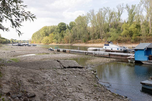 Niedrigwasser am Rhein: Boote und Stege bei Bornheim-Hersel auf Grund Niedrigwasser am Rhein: Bei einem Pegelstand von 74 cm am Pegel Bonn liegt der Rheinarm zwischen Bornheim-Hersel und dem Naturschutzgebiet Herseler Werth größtenteils trocken. Boote und Stege liegen auf dem ausgetrockneten Flussbett auf Grund. Am Rhein werden derzeit historische Tiefstwerte gemessen. Bornheim Hersel Nordrhein-Westfalen Deutschland Copyright: xMarcxJohnx