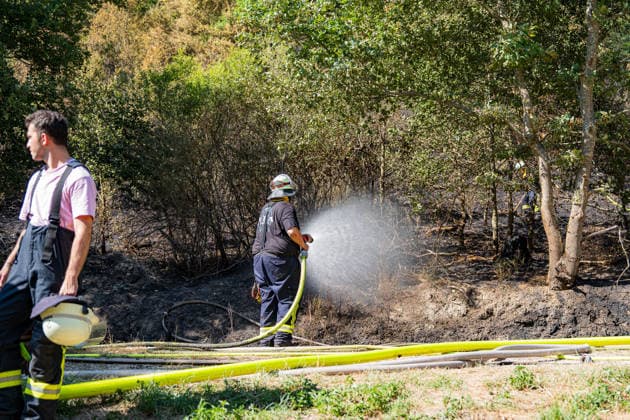 Feuer in Wald und in Wohngebiet fordert weit über 300 Einsatzkräfte Am 10.08.2026 brach gegen 13:15 Uhr zwischen Bad Schwalbach-Adolfseck und Hohenstein-Breithardt ein Waldbrand aus, der sich rasch auf über 8000 Quadratmeter ausbreitete. Rund 300 Feuerwehrkräfte sowie Kräfte von HessenForst bekämpften den Brand, für die Wasserversorgung wurde die B54 gesperrt. Gegen 14:15 Uhr griff parallel in Bad Schwalbach ein Feuer an einem Hang auf einen Anbau mit Garage über. Bei den beiden Einsätzen wurden insgesamt neun Personen leicht verletzt, zwei Einsatzkräfte mussten wegen Rauchgasinhalation ins Krankenhaus gebracht werden. Laut Kreisbrandmeister Michael Ehresmann besteht der Verdacht auf fahrlässige oder vorsätzliche Brandstiftung,