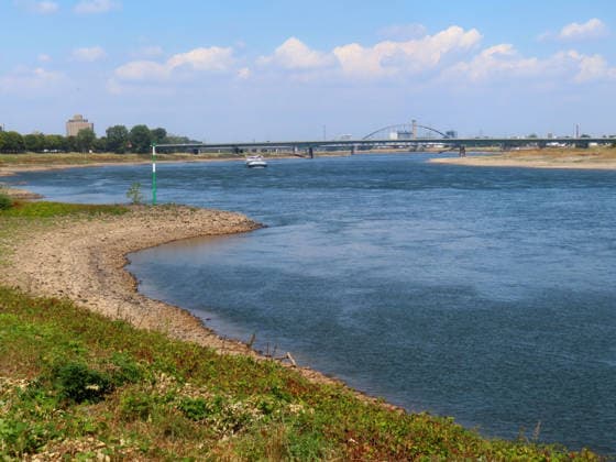 ein einsames Frachtschiff - wo sonst Dutzende rheinaufwaerts oder abwaerts fahren - Niedrigwasserstand im dramatischen Bereich - Tendenz weiter fallend Rheinstrom zwischen Duesseldorf und Neuss