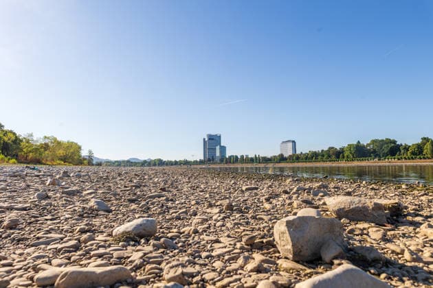 Historisches Niedrigwasser am Rhein in Bonn Bonn, 11.08.2026: Der Rhein führt aufgrund der anhaltenden Trockenheit und geringen Niederschläge deutlich weniger Wasser. Das freiliegende Ufer und Flussbett machen das außergewöhnliche Niedrigwasser sichtbar. Im Hintergrund ragen der Post Tower, der Lange Eugen auf dem UN-Campus sowie der Schürmann-Bau der Deutschen Welle aus der Bonner Skyline. Ebenfalls zu sehen ist das Radisson Blu Hotel Bonn am Platz der Vereinten Nationen. Der Rhein gehört zu den wichtigsten europäischen Wasserstraßen; die niedrigen Wasserstände beeinträchtigen insbesondere die Binnenschifffahrt, da Schiffe ihre Ladung reduzieren müssen. Bonn Beuel Nordrhein-Westfalen Deutschland