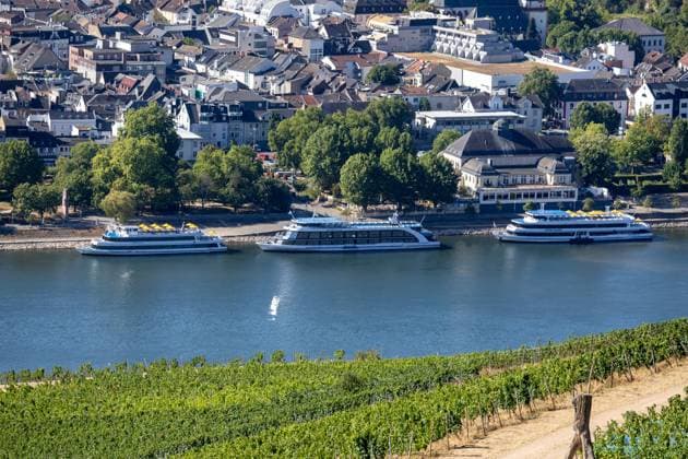 August 2026, Extremes Niedrigwasser am Mittelrhein