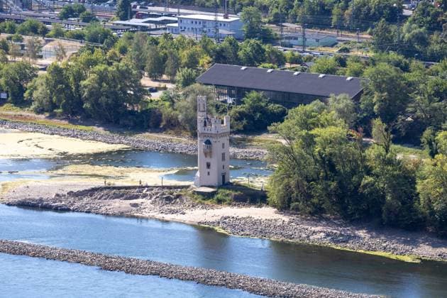 August 2026, Extremes Niedrigwasser am Mittelrhein