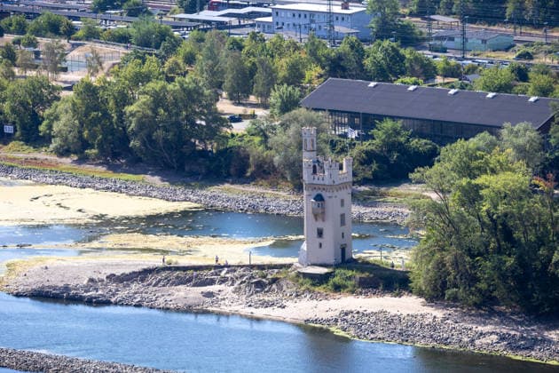 August 2026, Extremes Niedrigwasser am Mittelrhein
