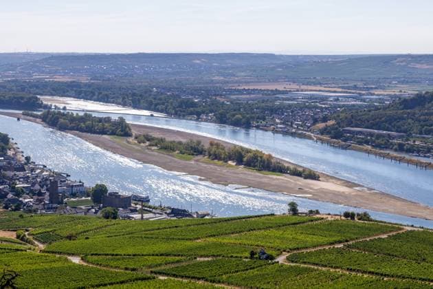 August 2026, Extremes Niedrigwasser am Mittelrhein