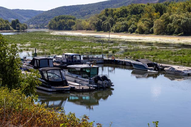 August 2026, Extremes Niedrigwasser am Mittelrhein