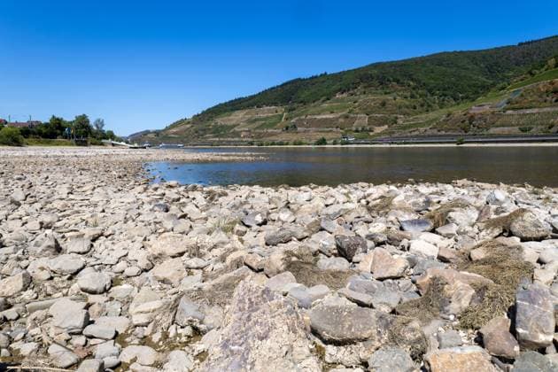 August 2026, Extremes Niedrigwasser am Mittelrhein