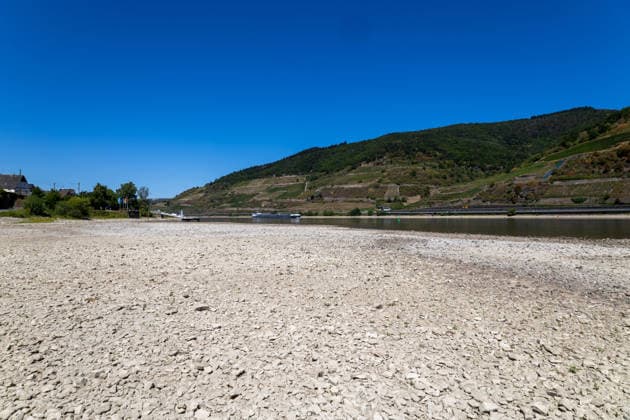 August 2026, Extremes Niedrigwasser am Mittelrhein