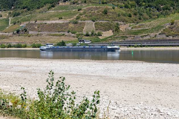 August 2026, Extremes Niedrigwasser am Mittelrhein