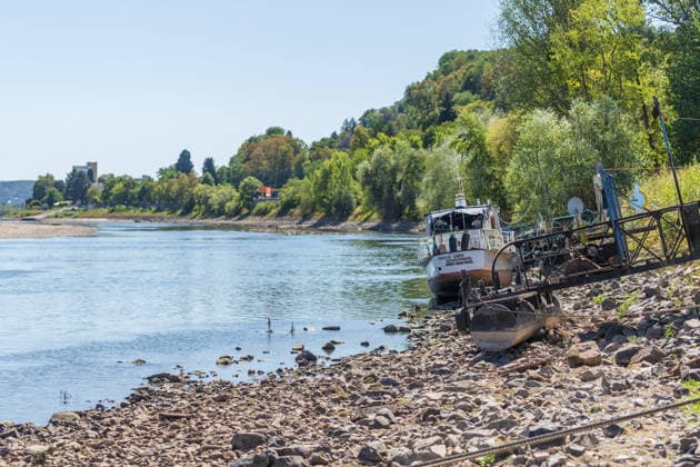 Niedrigwasser am Rhein: Boote im trockenen Nebenarm bei Insel Nonnenwerth aufgesessen Niedrigwasser am Rhein: Bei einem Pegelstand von -3 cm am Pegel Oberwinter und 70 cm am Pegel Bonn neue Tiefstwerte liegt der Rheinarm (Nebenarm) bei der Insel Nonnenwerth größtenteils trocken. Dort liegende Boote sind auf dem ausgetrockneten Flussbett aufgesessen. Am Rhein werden weiterhin neue Negativrekorde unterboten. Remagen Rolandswerth Rheinland-Pfalz Deutschland Copyright: xMarcxJohnx