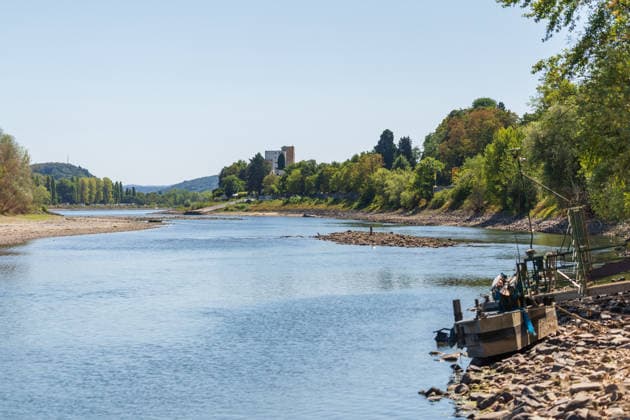 Niedrigwasser am Rhein: Boote im trockenen Nebenarm bei Insel Nonnenwerth aufgesessen Niedrigwasser am Rhein: Bei einem Pegelstand von -3 cm am Pegel Oberwinter und 70 cm am Pegel Bonn neue Tiefstwerte liegt der Rheinarm (Nebenarm) bei der Insel Nonnenwerth größtenteils trocken. Dort liegende Boote sind auf dem ausgetrockneten Flussbett aufgesessen. Am Rhein werden weiterhin neue Negativrekorde unterboten. Remagen Rolandswerth Rheinland-Pfalz Deutschland Copyright: xMarcxJohnx