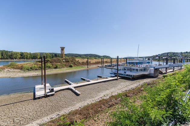 Niedrigwasser am Rhein: Yachthafen Oberwinter teilweise trockengefallen - 11.08.2026. Niedrigwasser am Rhein: Bei einem Pegelstand von -3 cm am Pegel Oberwinter und 70 cm am Pegel Bonn neue Tiefstwerte sind Teile des Yachthafens Oberwinter trockengefallen. Mehrere Boote liegen im Trockenen, eine Zufahrt in den Hafenbereich ist derzeit nicht mehr möglich. Am Rhein werden weiterhin neue Negativrekorde unterboten. Remagen Oberwinter Rheinland-Pfalz Deutschland Copyright: xMarcxJohnx