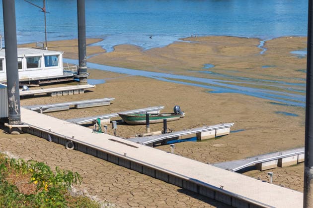 Niedrigwasser am Rhein: Yachthafen Oberwinter teilweise trockengefallen - 11.08.2026. Niedrigwasser am Rhein: Bei einem Pegelstand von -3 cm am Pegel Oberwinter und 70 cm am Pegel Bonn neue Tiefstwerte sind Teile des Yachthafens Oberwinter trockengefallen. Mehrere Boote liegen im Trockenen, eine Zufahrt in den Hafenbereich ist derzeit nicht mehr möglich. Am Rhein werden weiterhin neue Negativrekorde unterboten. Remagen Oberwinter Rheinland-Pfalz Deutschland Copyright: xMarcxJohnx