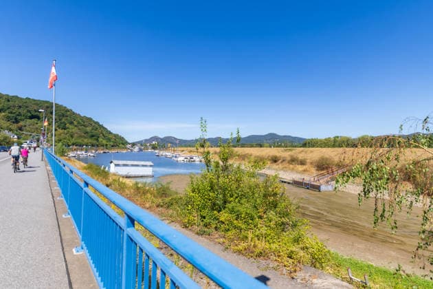 Niedrigwasser am Rhein: Yachthafen Oberwinter teilweise trockengefallen - 11.08.2026. Niedrigwasser am Rhein: Bei einem Pegelstand von -3 cm am Pegel Oberwinter und 70 cm am Pegel Bonn neue Tiefstwerte sind Teile des Yachthafens Oberwinter trockengefallen. Mehrere Boote liegen im Trockenen, eine Zufahrt in den Hafenbereich ist derzeit nicht mehr möglich. Am Rhein werden weiterhin neue Negativrekorde unterboten. Remagen Oberwinter Rheinland-Pfalz Deutschland Copyright: xMarcxJohnx