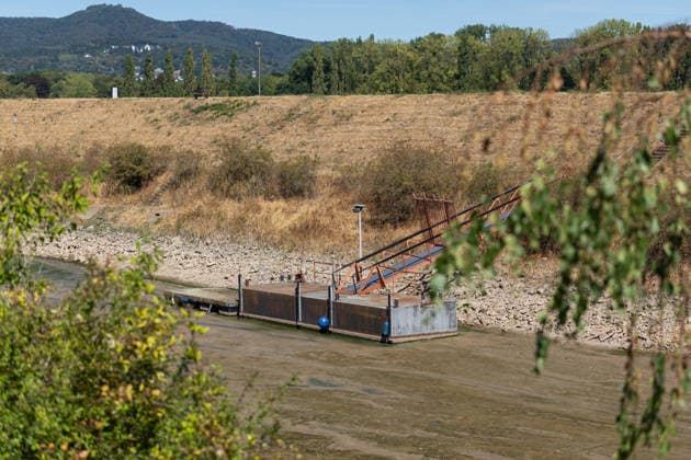 Niedrigwasser am Rhein: Yachthafen Oberwinter teilweise trockengefallen - 11.08.2026. Niedrigwasser am Rhein: Bei einem Pegelstand von -3 cm am Pegel Oberwinter und 70 cm am Pegel Bonn neue Tiefstwerte sind Teile des Yachthafens Oberwinter trockengefallen. Mehrere Boote liegen im Trockenen, eine Zufahrt in den Hafenbereich ist derzeit nicht mehr möglich. Am Rhein werden weiterhin neue Negativrekorde unterboten. Remagen Oberwinter Rheinland-Pfalz Deutschland Copyright: xMarcxJohnx